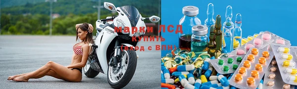 прущие грибы Алексин