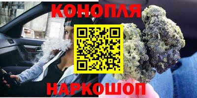 прущие грибы Малгобек