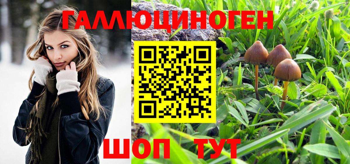 Дзержинский  Галлюциногенные грибы Psilocybine cubensis  купить  цена  Вход с VPN 