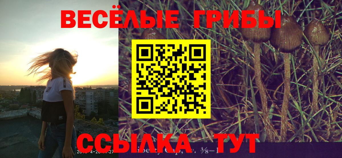 Галлюциногенные грибы мицелий Дзержинский